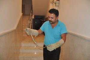Bursa'da apartmanda yılan paniği