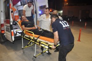 Bursa'da arılar 2 kişiyi hastanelik etti