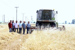 Bursa Yenişehirli &ccedil;ift&ccedil;iler TMO'nun alım yapmasını istiyor