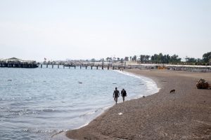 10 kişiyi caretta caretta ısırdı