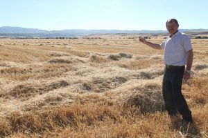 150 d&ouml;n&uuml;m tarladan 50 ton arpa &ccedil;aldılar