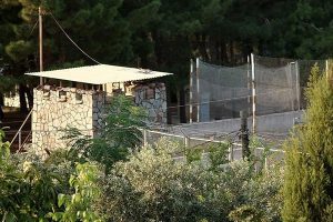 Hatay'da hudut karakoluna taciz ateşi