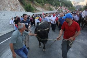 Kafkas&ouml;r Festivali boğalar eşliğinde y&uuml;r&uuml;y&uuml;şle başladı