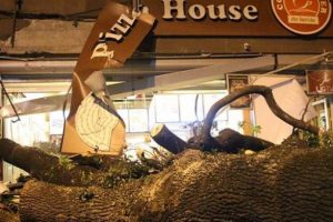 Kafenin &uuml;zerine ağa&ccedil; devrildi: Yaralılar var