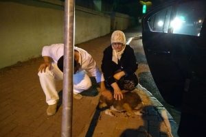 Bursa'da &ccedil;arptığı k&ouml;peği hastaneye g&ouml;t&uuml;rd&uuml;