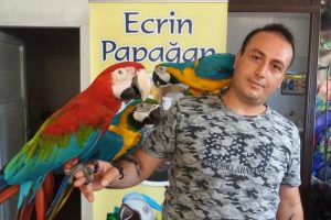 Bursa'da papağanlara dondurmalı serinlik
