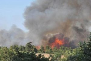 &Ccedil;anakkale'deki orman yangını: 30 hektar orman k&uuml;l oldu