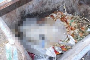 Adıyaman'da at eti satan iş yeri kapatıldı
