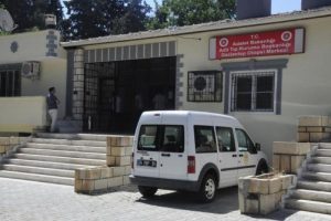 Ensesinden vurup yol kenarına attılar