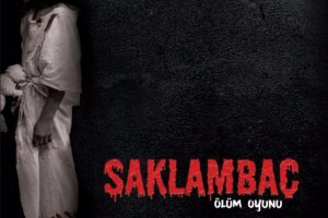 &Ccedil;in'de vizyona girecek ilk T&uuml;rk filmi