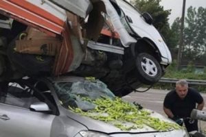 Otomobilin &uuml;zerine d&uuml;şen kamyonun s&uuml;r&uuml;c&uuml;s&uuml; hayatını kaybetti