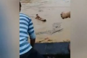 &Ccedil;in'deki sel felaketinde &ouml;l&uuml; sayısı 56'ya y&uuml;kseldi
