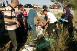 Tarım iş&ccedil;ilerini taşıyan kamyonet takla attı: 2 &ouml;l&uuml;, 7 yaralı