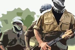 Hakkari'de 1 ter&ouml;rist teslim oldu