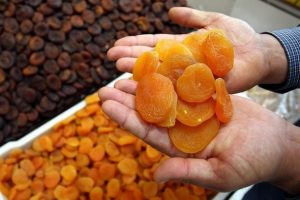 Malatya kayısısına AB tescili