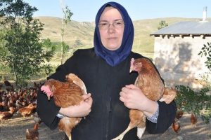 Moldovalı gelin kurduğu &ccedil;iftlikte g&uuml;nde 950 yumurta &uuml;retiyor