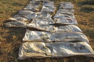 Muş'ta 1,5 ton amonyum nitrat ele ge&ccedil;irildi