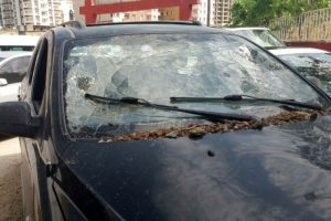 Kaymakam saldırısıyla ilgili 26 g&ouml;zaltı