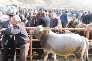 Kurbanlık alacaklar dikkat! Fiyatlar...