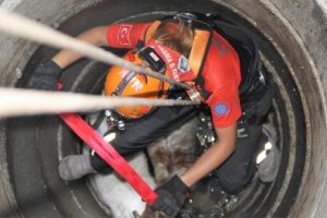 Bursa'da kuyuya d&uuml;şen 2 ke&ccedil;iyi NAK kurtardı