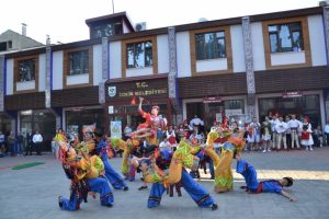 Altın karag&ouml;z coşkusu Bursa İznik'te