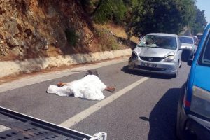 Emniyet şeridinde otomobilin &ccedil;arpmasıyla &ouml;ld&uuml;