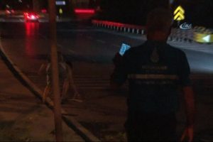 Kaza yapan s&uuml;r&uuml;c&uuml; dakikalarca plakasını aradı