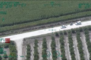 Mısır tarlasında helikopter destekli uyuşturucu operasyonu