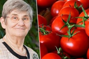 Canan Karatay, domates konusunda uyardı!