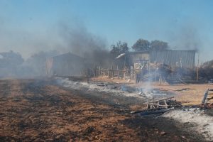 &Ccedil;anakkale'de 10 hektardan fazla alan k&uuml;l oldu