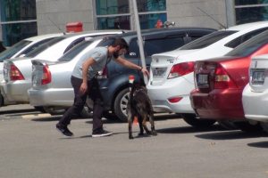 Bombalı ara&ccedil; ihbarı asılsız &ccedil;ıktı