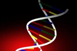 Bakteri DNA'sında hareketli g&ouml;r&uuml;nt&uuml; kaydedildi