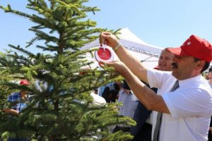 249 şehidin k&uuml;nyesi ağa&ccedil;lara asıldı