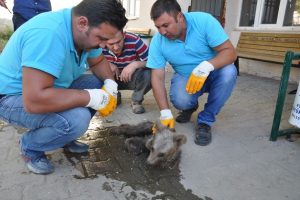Bursa'da 3 aylık yavru a&ccedil;lıktan &ouml;lmek &uuml;zereyken bulundu