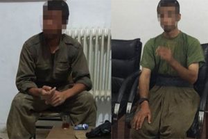 Hakkari ve Bitlis'te iki ter&ouml;rist teslim oldu