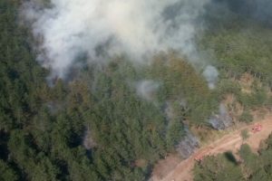 Bursa'da orman yangını! 4 yangın söndürme helikopteri...