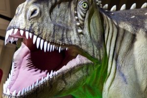 81 milyon yıllık dinozor dişleri bulundu