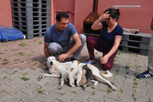 Bursa'da k&ouml;pekten insanlık dersi