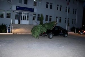 10 bin k&ouml;k hint keneviri ele ge&ccedil;irildi
