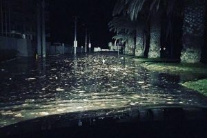 Bodrum'da deprem sonrası deniz suyu yükseldi