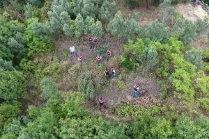 Bursa'da jandarma drone ile tespit etti, operasyon d&uuml;zenlendi!