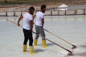 Sivas'tan İspanya'ya ihra&ccedil; ediyor