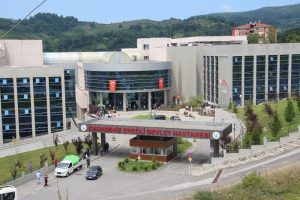 Zonguldak'ta 29 kişi pastadan zehirlendi
