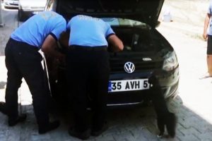 Anne kedi, yavrusu kurtarılırken başından ayrılmadı