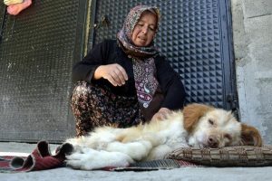 Fel&ccedil;li k&ouml;peği hayatta tutan 'anne' sevgisi
