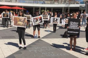 İsve&ccedil;'te hayvan hakları i&ccedil;in sessiz protesto g&ouml;sterisi