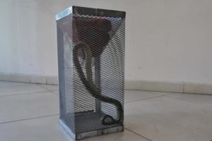Otomobil kullanırken ayağına yılan dolandı!