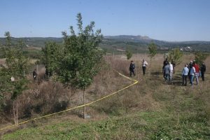 Bursa'da mesajlaşmaları ortaya &ccedil;ıkınca m&uuml;ebbetten kurtuldu