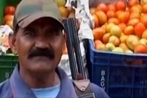 Hindistan'da fiyatı iki katına &ccedil;ıkan domatese silahlı koruma
