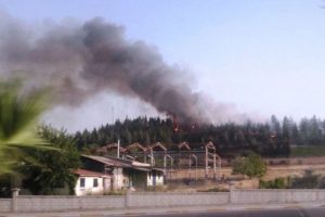 Denizli'de orman yangınına 1 g&ouml;zaltı